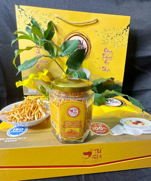 Đông trùng hạ thảo Tứ Gia 10g